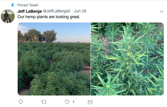 Jeff Laberge tweets about the hemp plants